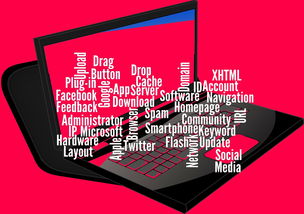 AYX体育官网-CBA开展球员社交媒体管理课程提高职业素养，运动员社交媒体